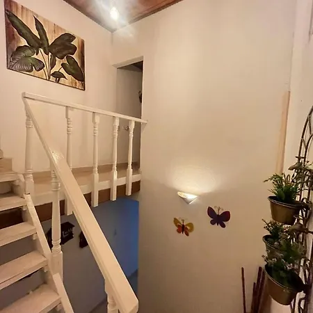 Homestay Casa 39-33